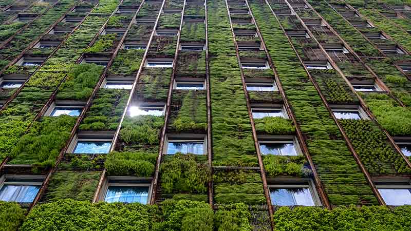 Skyscraper with plants scaling its side