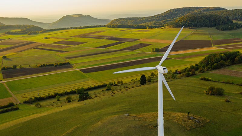 Single wind turbine in a lush, green field with the horizon in the background