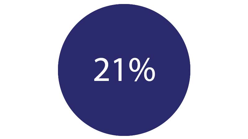 devweb-21-percent-800x450