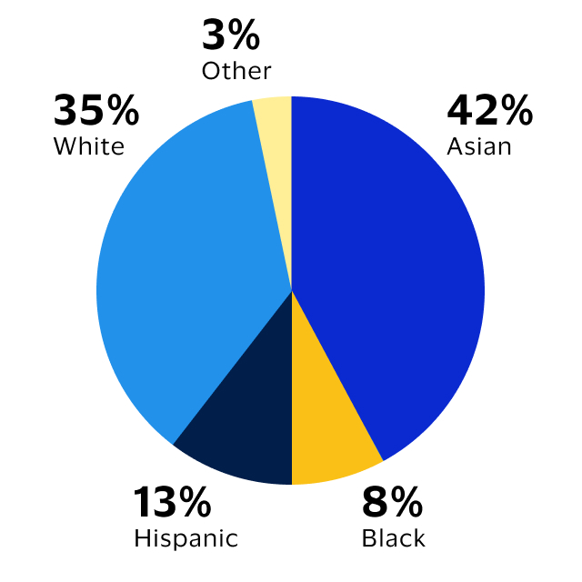 A pie chart shows the ethnicities in Visa’s U.S. workforce. 41% Asian. 37% white. 12% Hispanic. 7% Black. 3% Other.