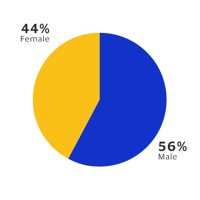A pie chart shows that Visa’s United States workforce is 56% male and 44% female.