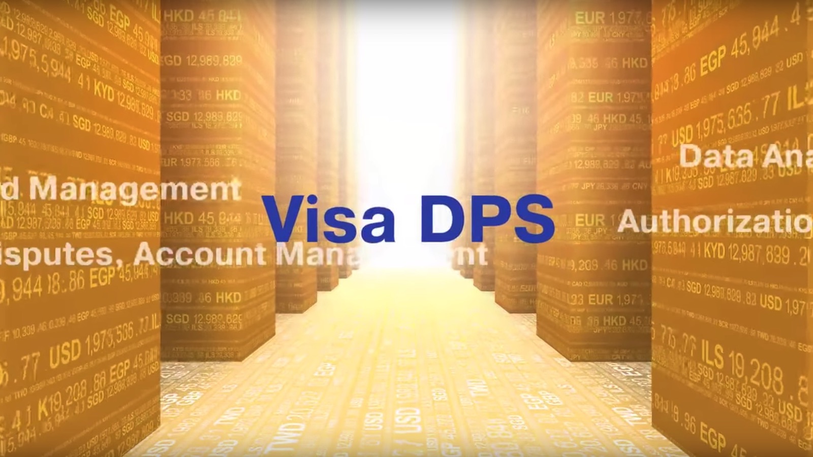 Visa DPS video background