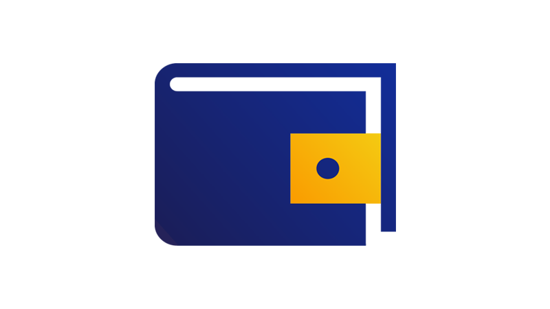 visa-icon-wallet-800x450