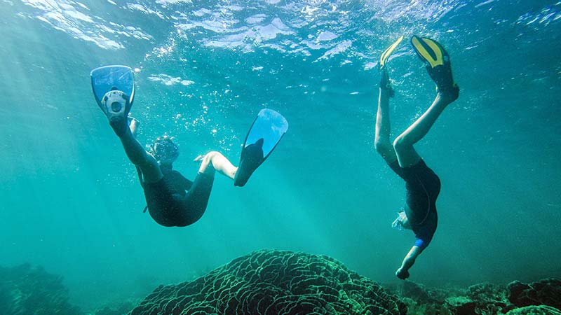 Divers explore Australia’s Great Barrier Reef.